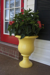 Yellow Porch Planter