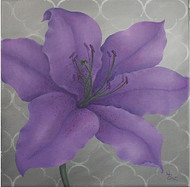 Purple Passion Lily