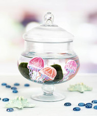 Jellyfish Marimo Moss Ball Terrarium