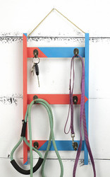 Bright Color-Blocked Hanging Rack