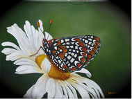 Daisy and Butterfly Painting