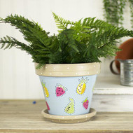 Summer Fruit Terra Cotta Pot