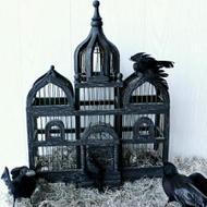 DIY Halloween Bird Cage