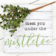 Meet You Under the Mistletoe Sign