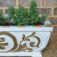 Painted Concrete Planters