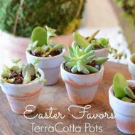 Easter Party Succulent Favors