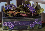 Violet Window Box