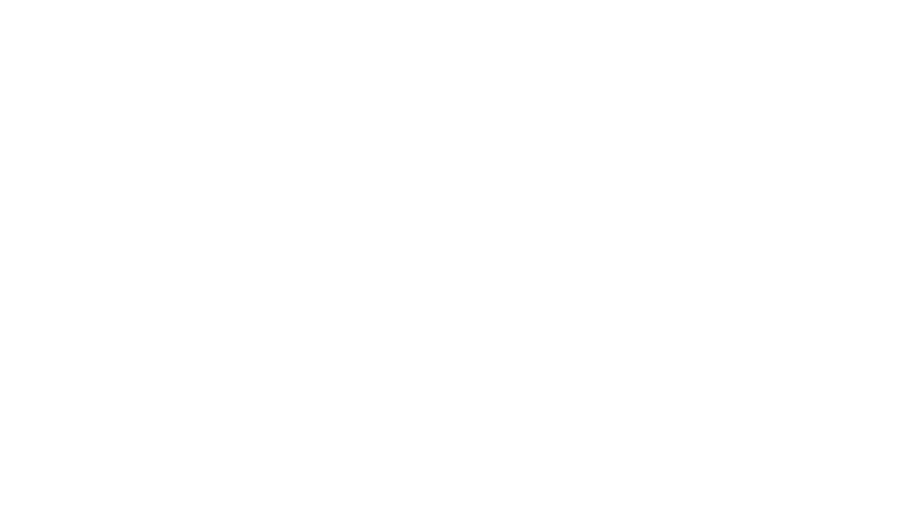 Respect MO Voters Webstore