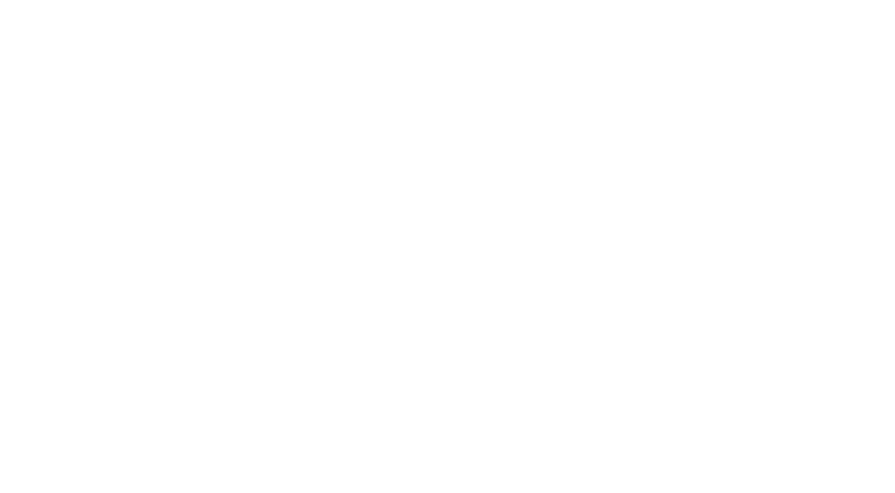 Respect MO Voters Webstore