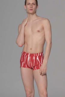 The fancy shorts