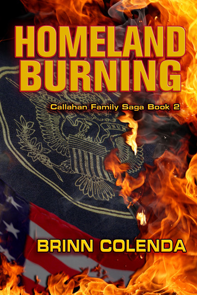Homeland Burning Series