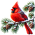 Cardinal