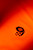 OM5271.media.orange.06.jpg