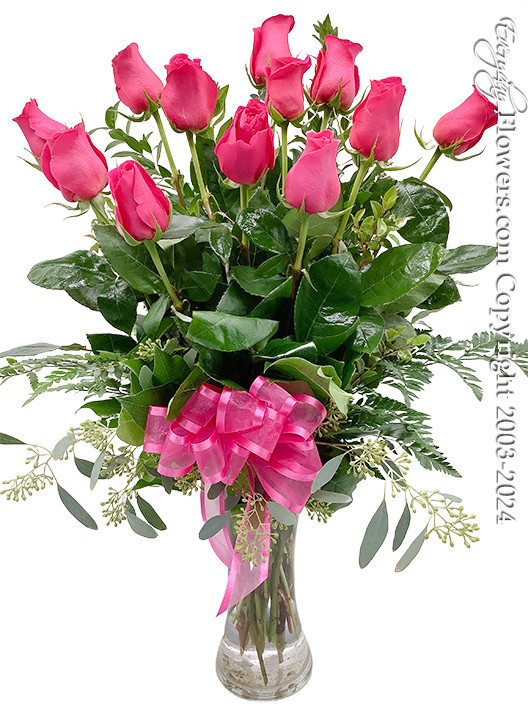 Dozen Hot Pink Roses - Everyday Flower.com