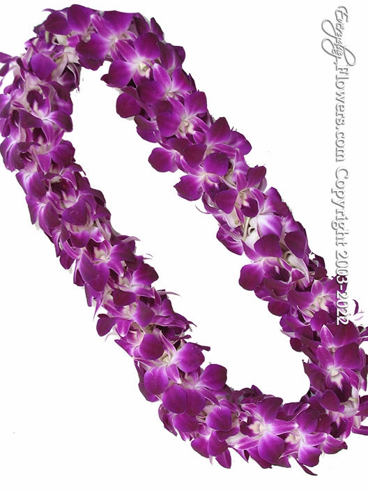 Graduation Party Flower Necklace 50pcs/lot KN-hl009 110CM Artificial Velvet  Plumeria Lei Hawaii Sun Beach Party Wreath Swag