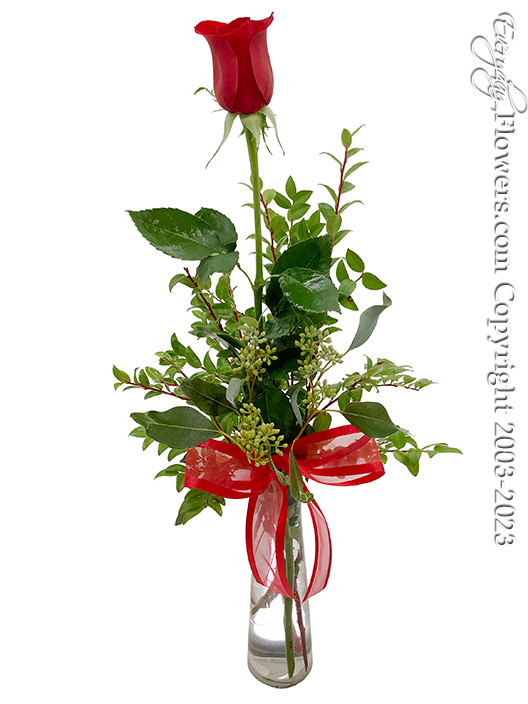 Single Long Stem Rose In a Vase Flower Delivery In Santa Ana, CA