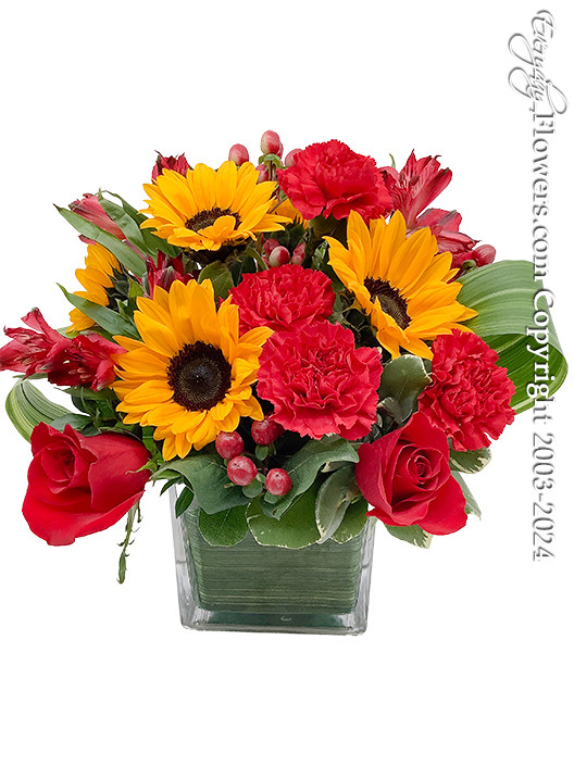 Sunflower Kisses, Valentines Day Flower Delivery by Everyday Flowers Santa Ana Florist