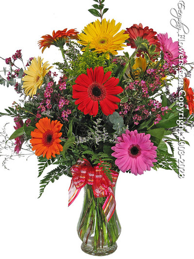 Send a bouquet of 12 gerbera daisies