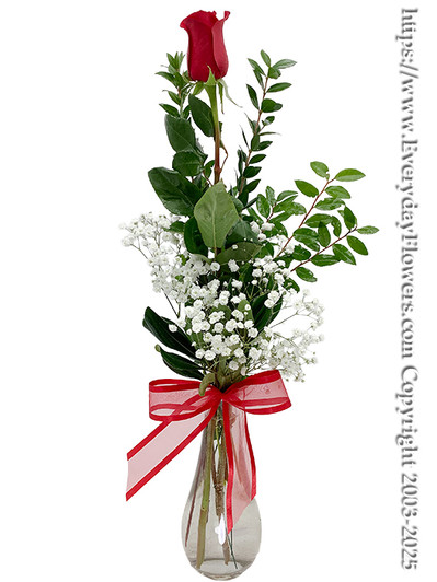 Single rose with babies breath, matching bow and a vase. Same day delivery or pickup available at our location in Santa Ana, CA