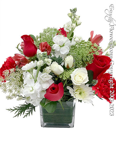 Holiday Blossom by Everyday Flowers