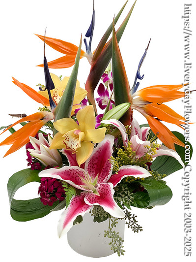 Birds of paradise, stargazer lilies, yellow orchids, purple orchids rolled ti leaves arranged in a white ceramic container. This is the front view or the Touch of Paradise Deluxe