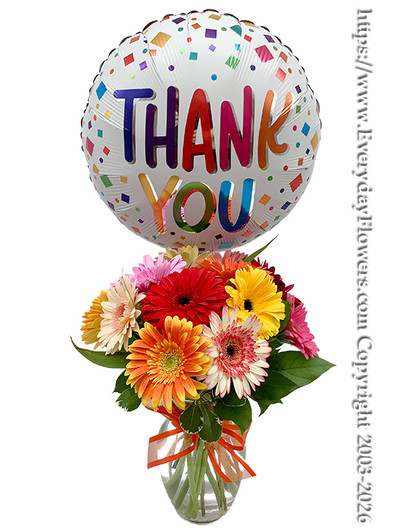 Thank you Daisies - Twelve colorful daisies florist arranged in a vase with a helium filled thank you balloon available for same day delviery to cities located in Orange County, CA