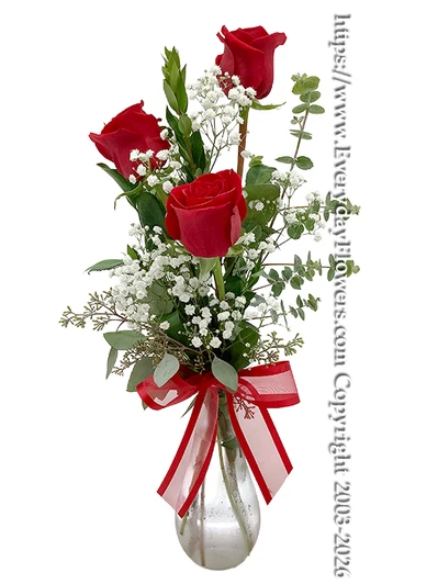 Three red rose bouquet with baby's breath, eucalyptus and fresh greenery arranged in a clear glass vase with a red ribbon by Everyday Flowers