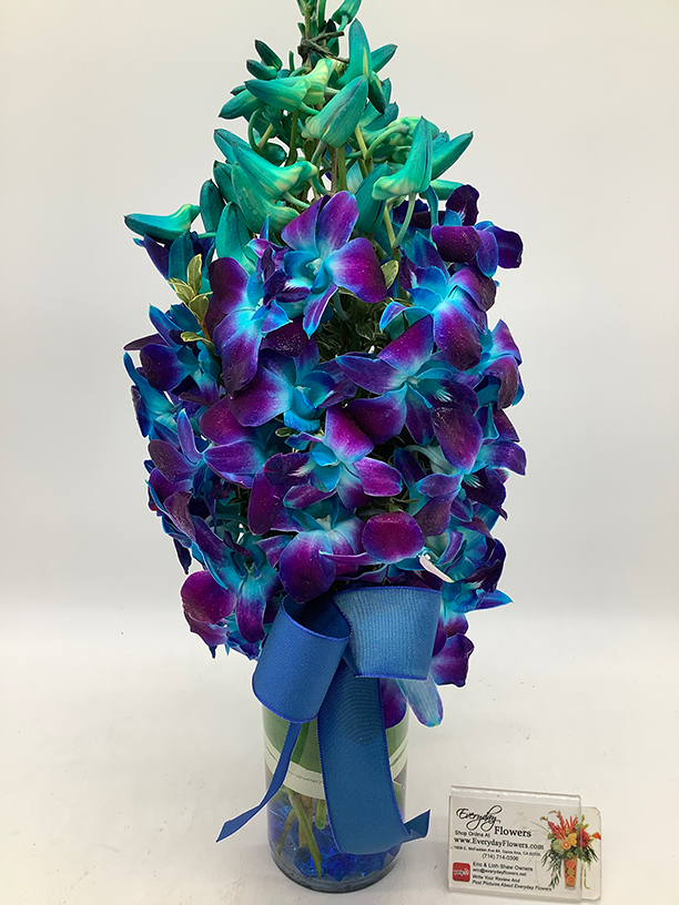 Blue Monet Orchids