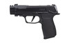 Sig Sauer P365 LUXE 380 ACP 3.1in 10rd Semi-automatic Pistol