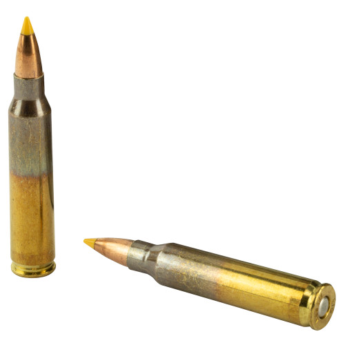 Buy Elite Performance Varmint & Predator | 223 Remington | 40Gr | HT | Rifle ammo at the best prices only on utfirearms.com