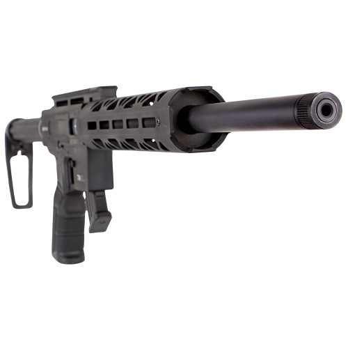 Derya TM22-A-20 22 LR 20in 10rd Semi-Auto Rifle - Image 3