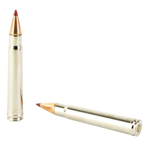 Hornady Outfitter 375 H&H 250gr CX Rifle Ammo - 20rd Box - Image 4