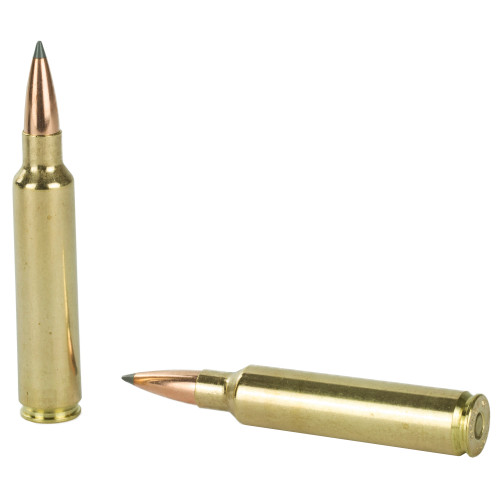 NOSLER Trophy 30 Nosler 210gr AccuBond Rifle Ammo - 20rd Box - Image 4