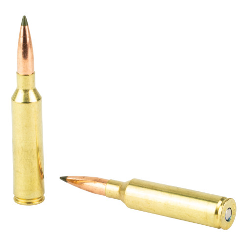 Remington Speer Impact 7MM PRC 175gr Polymer Tip Rifle Ammo - 20rd Box - Image 4