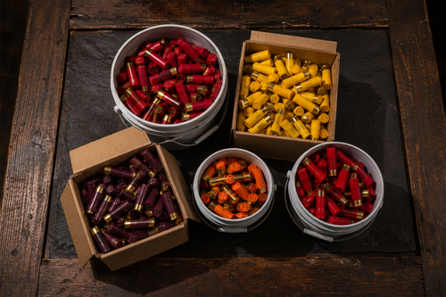 Shotgun Ammo