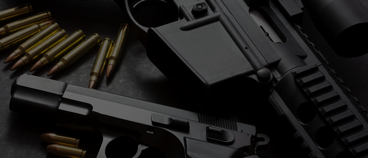 AR Style Rifles
