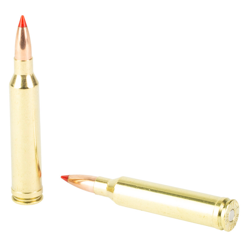 NOSLER Ballistic Tip 7MM Remington Magnum 160gr Ballistic Tip Rifle Ammo - 20rd Box - Image 4