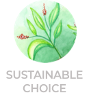 sustainable-choice