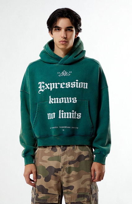 Pacsun Men's Expression Cropped Hoodie - 0193519270138