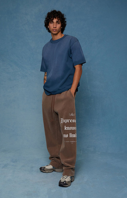 Pacsun Men's Brown Expressions Baggy Sweatpants - 0133519270033