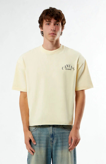 Pacsun Men's Canvas Studios Cropped Boxy T-Shirt - 0120519270070