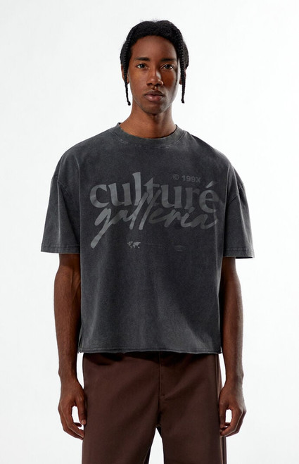 Pacsun Men's Culture Galleria Cropped T-Shirt - 0120519270089