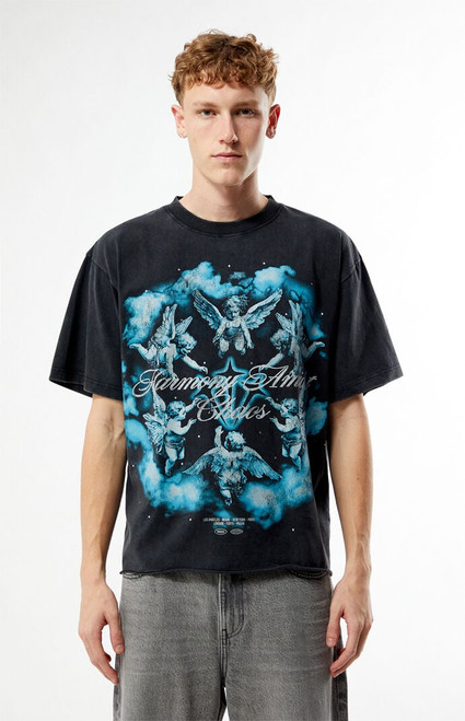 Pacsun Men's Harmony Amidst Chaos Cropped T-Shirt - 0120522800094