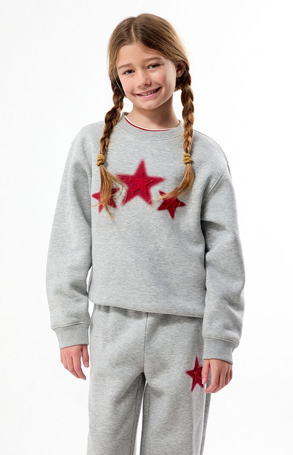 Pacsun Kids Kids Star Applique Crew Neck Sweatshirt  - 0788484260193