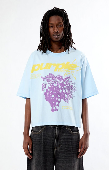 Pacsun Men's Purple Cropped Boxy T-Shirt - 0120522800100
