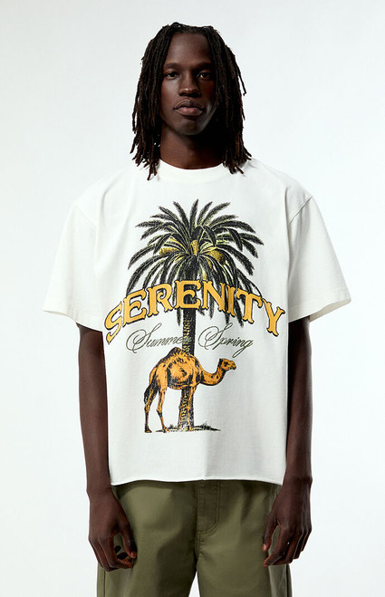 Pacsun Men's Serenity Cropped T-Shirt - 0120522800146