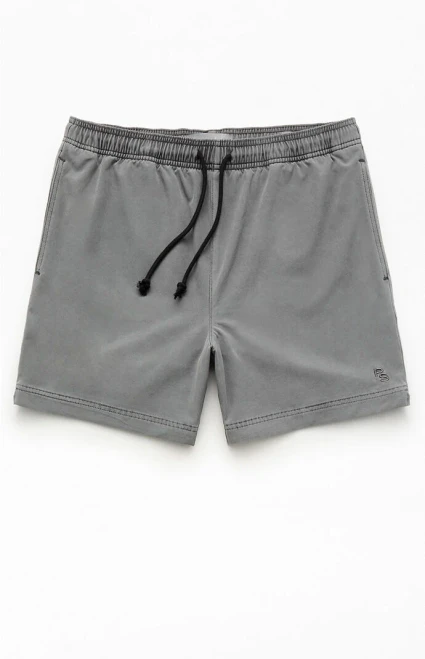 Pacsun Men's Gray Sunny 5.5" Swim Trunks - 0150603490293