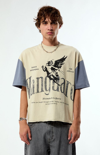 Pacsun Men's Vanguard Blocked Cropped T-Shirt - 0120519271130