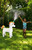 Pool Candy Men's Inflatable Unicorn Sprinkler - 0685600420095