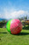 Pool Candy Men's Giant Watermelon Beach Ball Sprinkler - 0685600420129